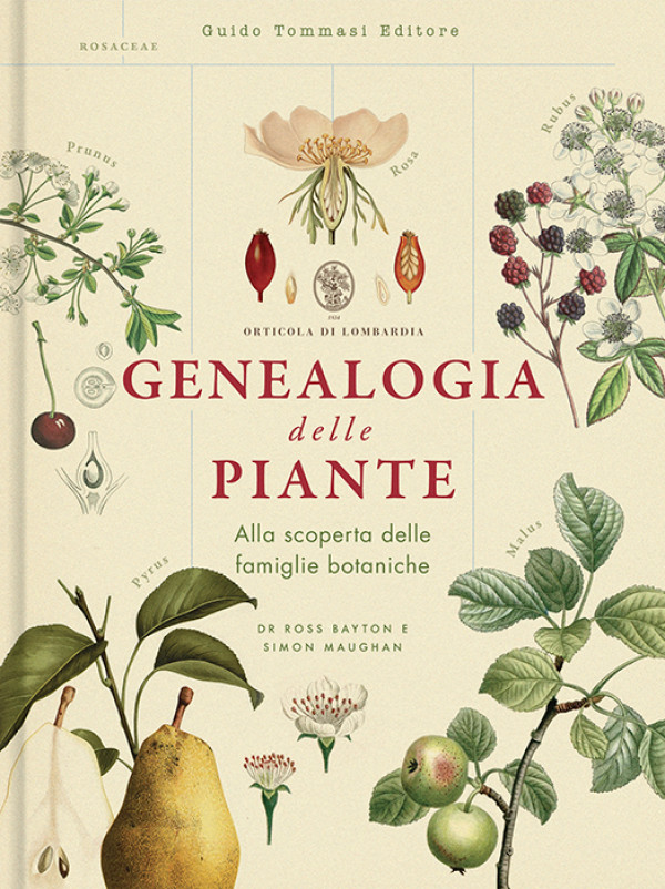 Genealogia delle piante
