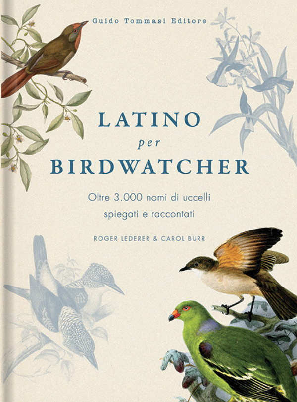 Latino per Birdwatcher