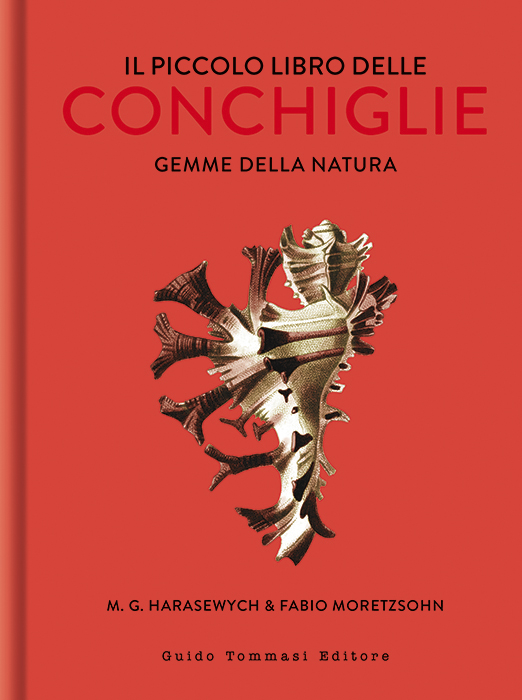 Il piccolo libro delle conchiglie