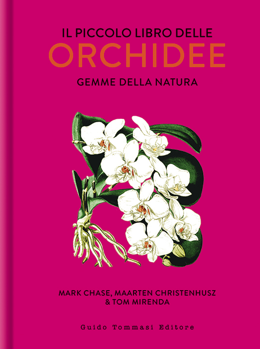 Il piccolo libro delle orchidee