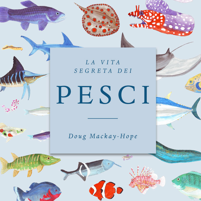 Insieme