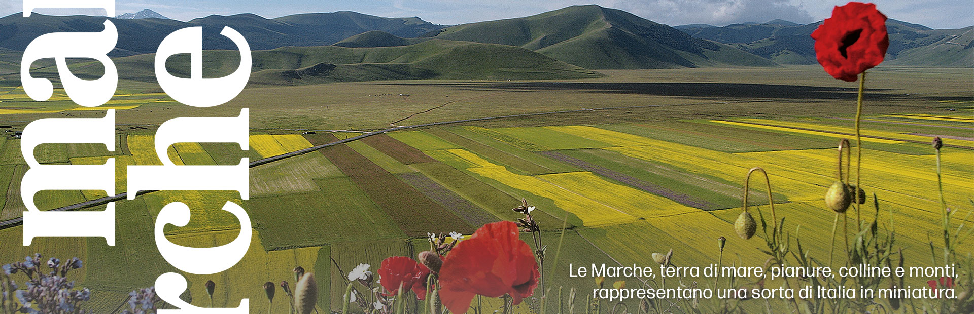 marche