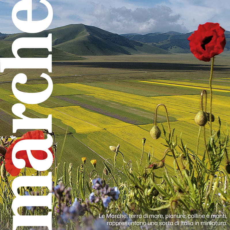 marche