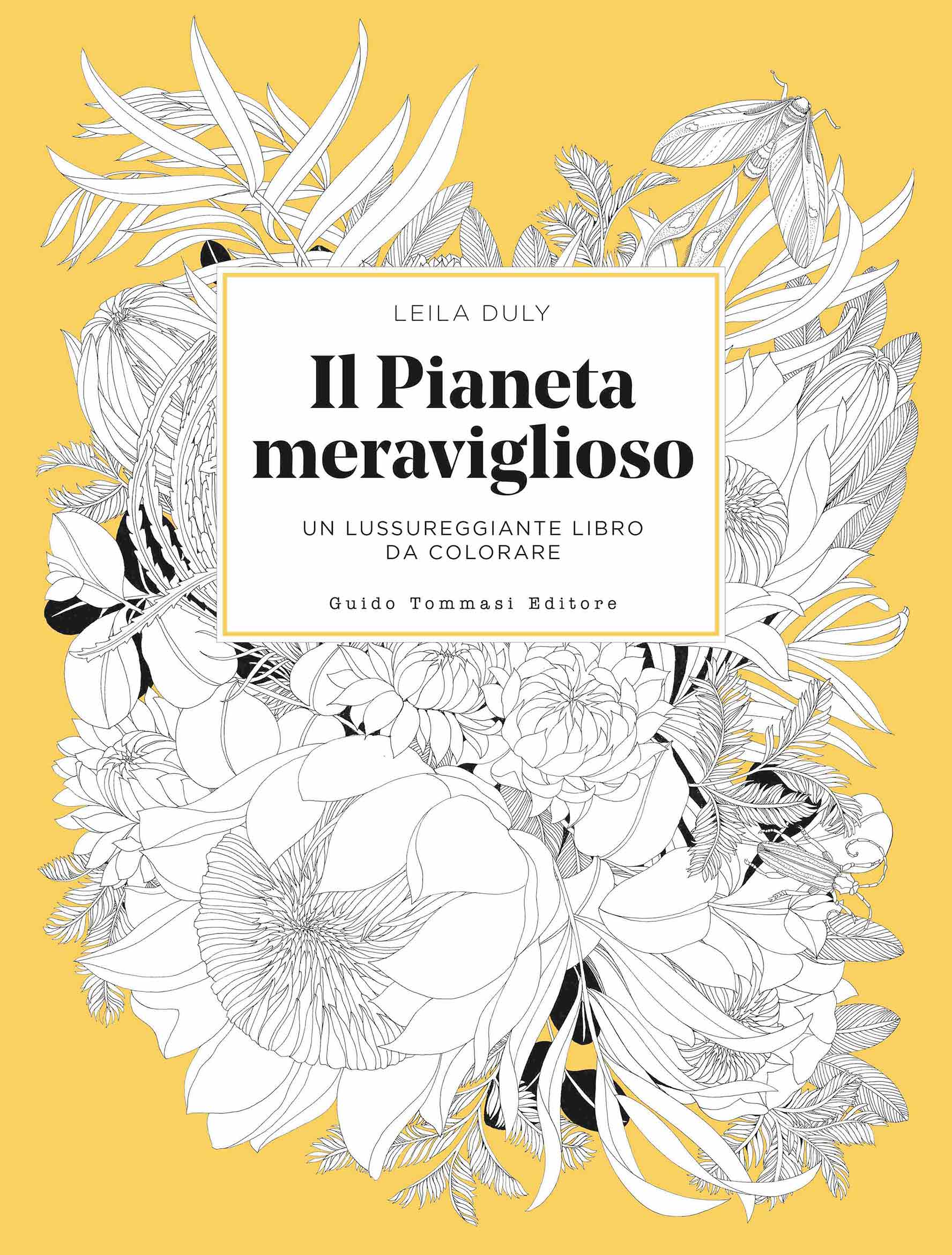 Il Pianeta Meraviglioso