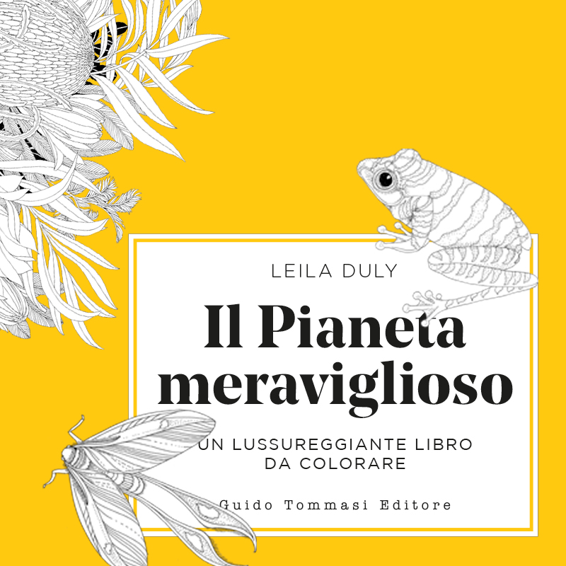 Il pianeta meraviglioso