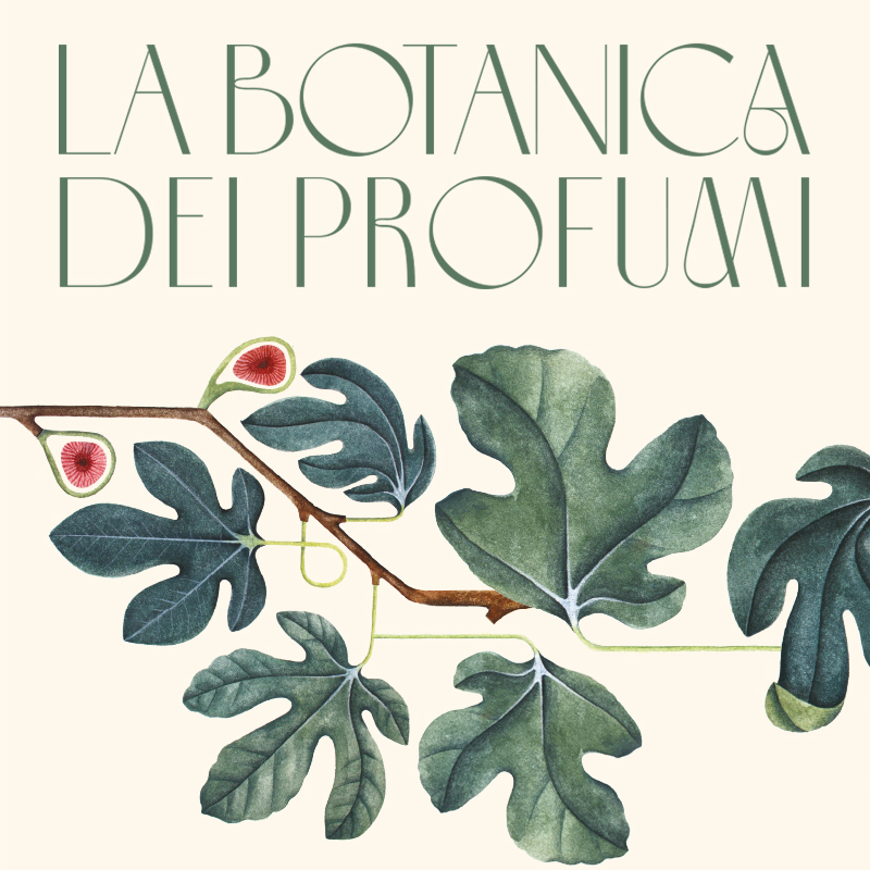La Botanica dei Profumi