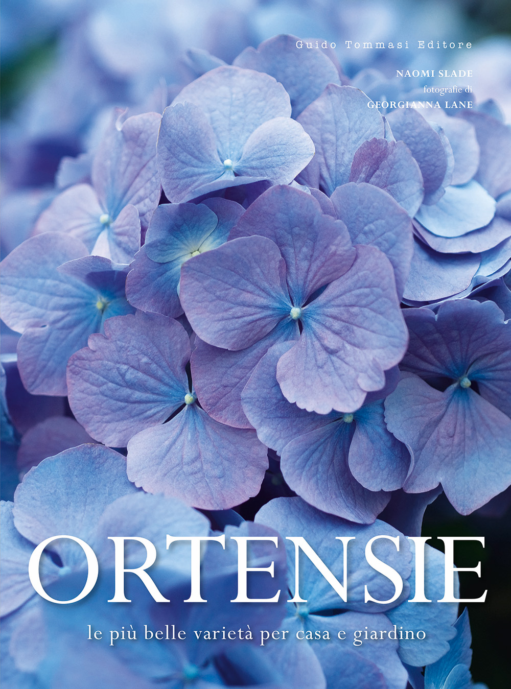 Ortensie