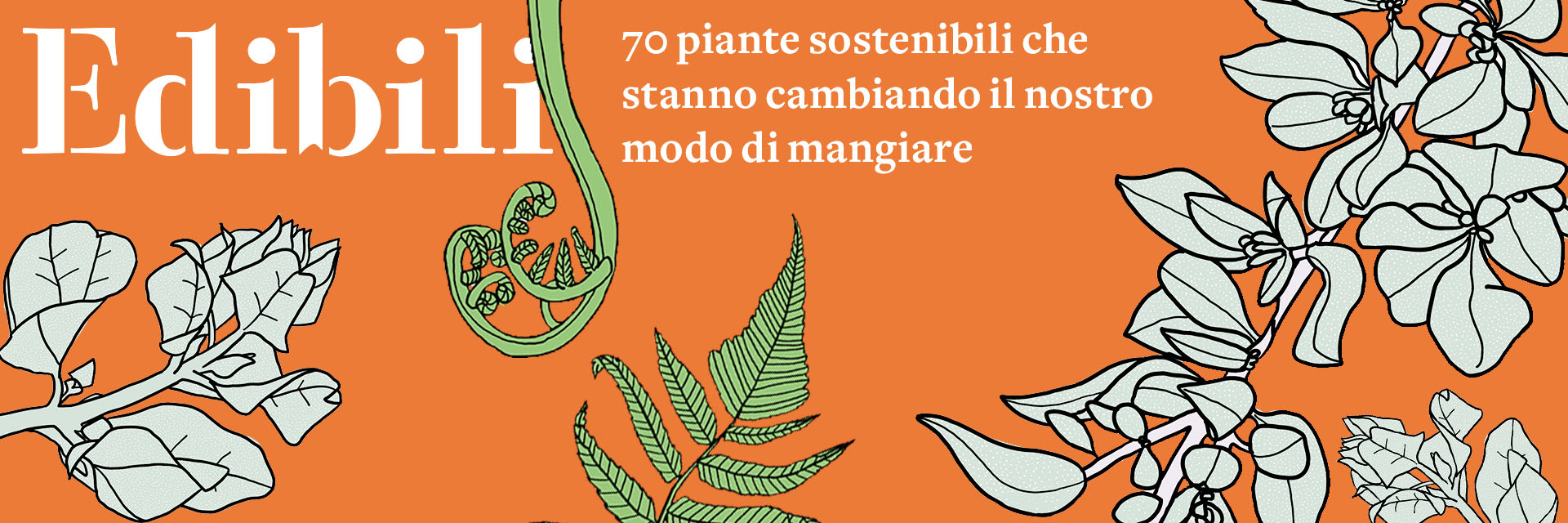 Edibili