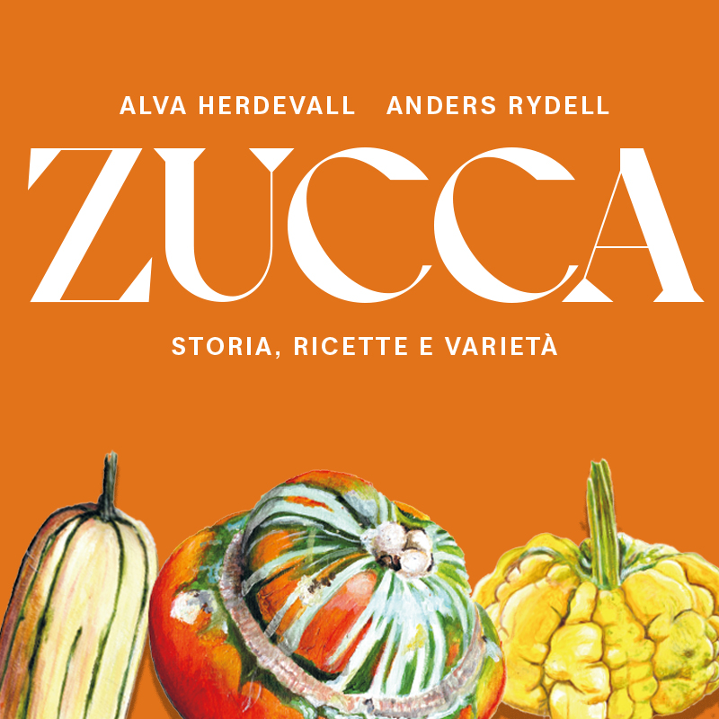 Zucca