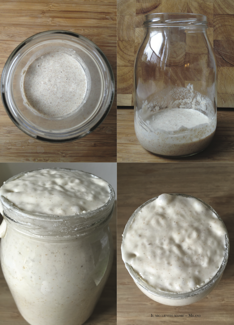 RICETTE PER RESTARE A CASA: LIEVITO MADRE
